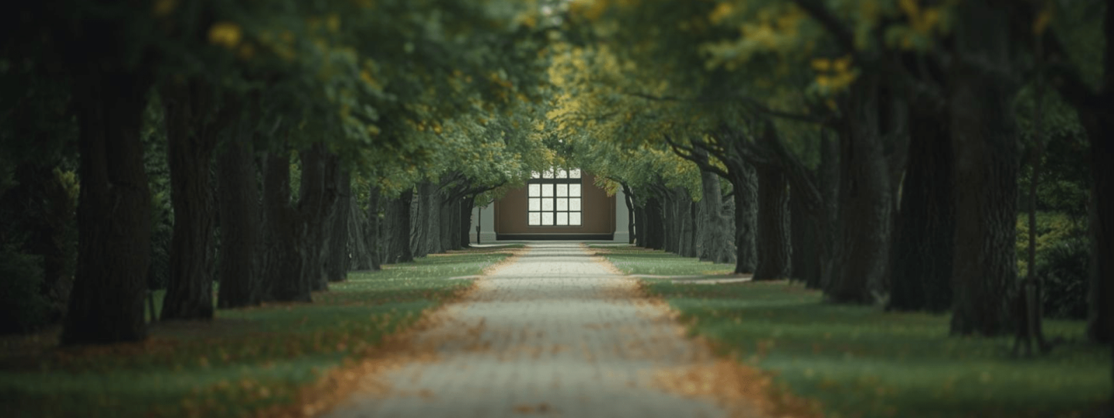 Imagen contemplativa que simboliza transición y proceso interior